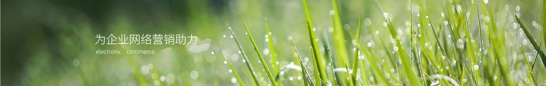 ݼ֮нƼ޹˾